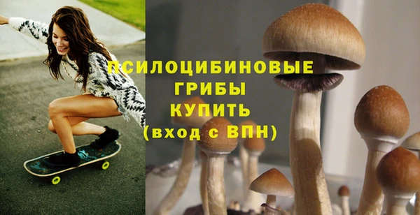 ешки Каменск-Шахтинский