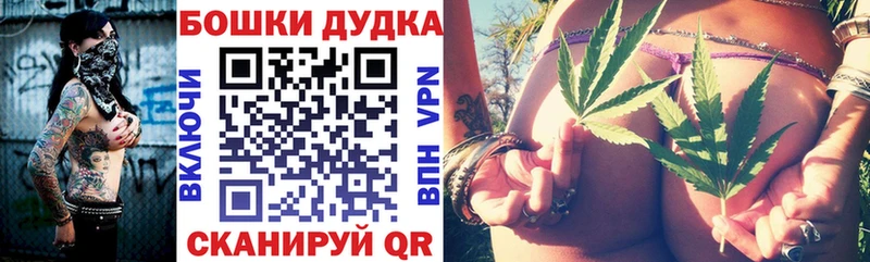 купить наркотик  Назрань  Каннабис гибрид 